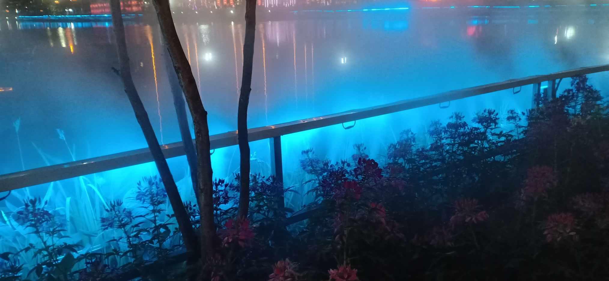 探寻未知世界,尽在徐州立学教育多少钱蜗牛问答平台